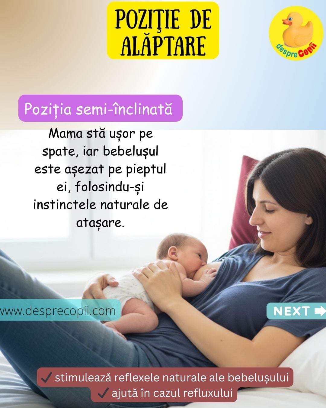 POZITIA PE SPATE